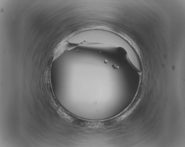 X0000083661001200703121807