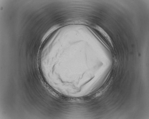 X0000083661002200703121807