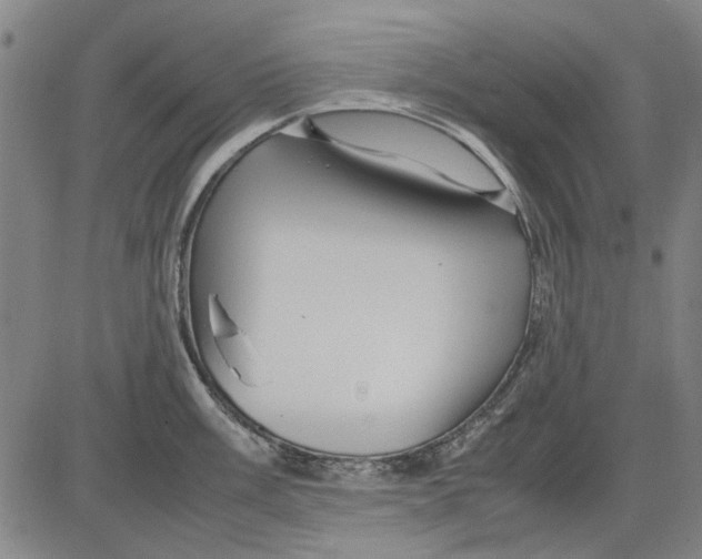 X0000083661003200703121807