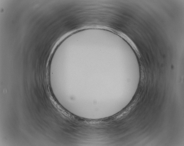 X0000083661004200703121807