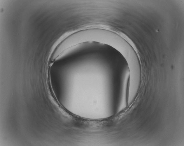 X0000083661005200703121807