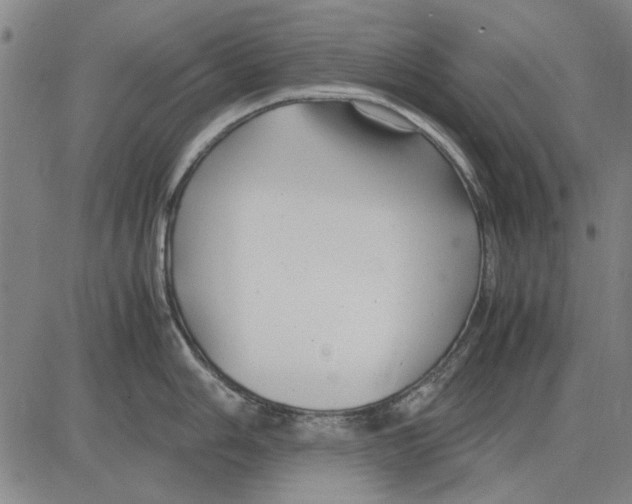 X0000083661006200703121807