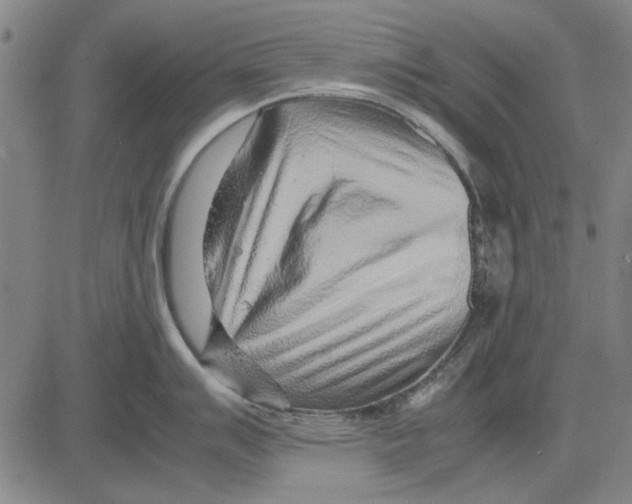 X0000083661007200703121807