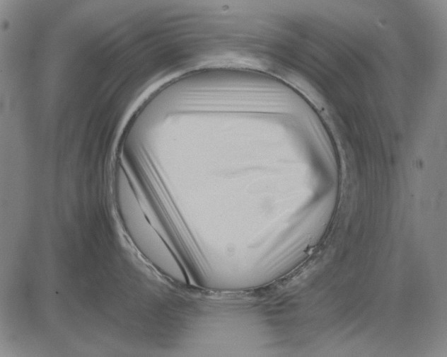 X0000083661008200703121806