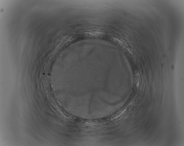 X0000083661009200703121806