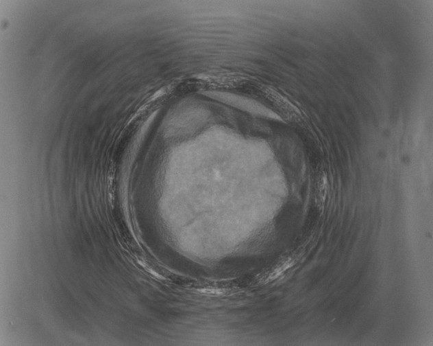 X0000083661010200703121806