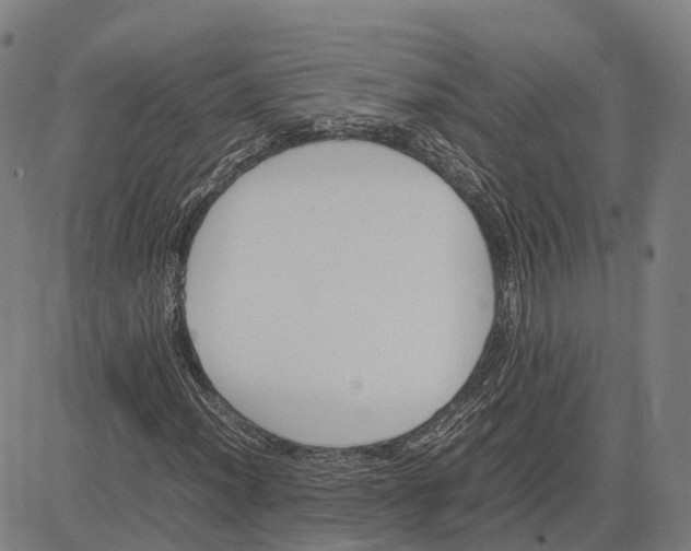 X0000083661012200703121806