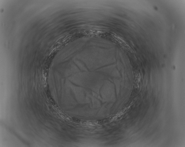 X0000083661013200703121806