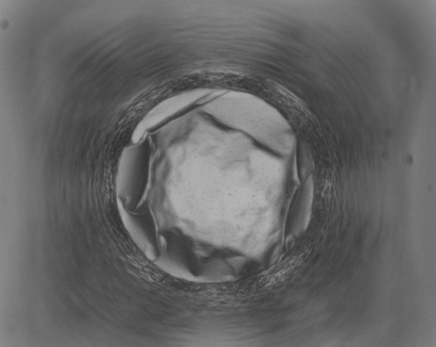 X0000083661014200703121806