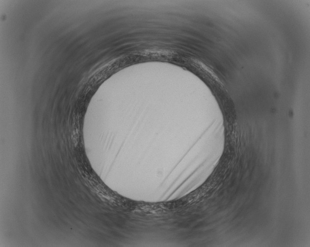 X0000083661015200703121806