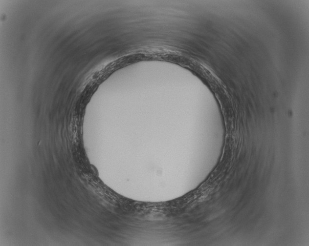 X0000083661016200703121806