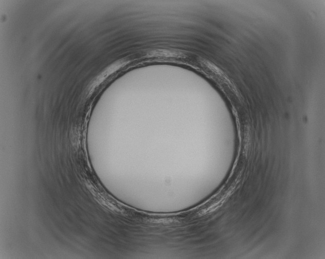 X0000083661017200703121806