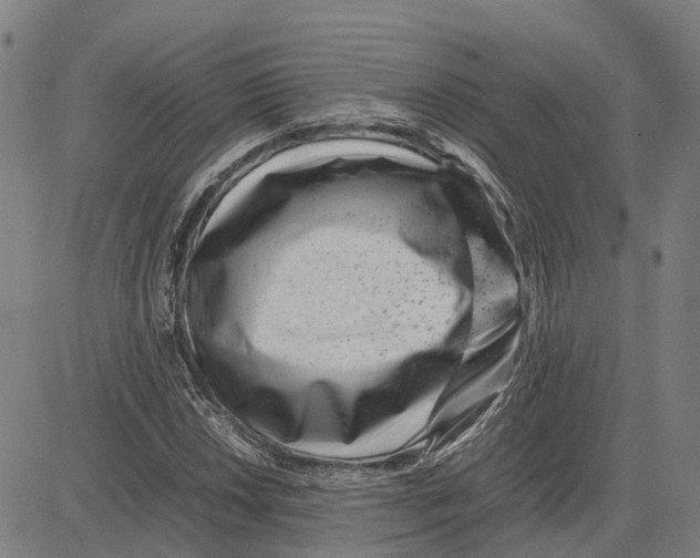 X0000083661018200703121806