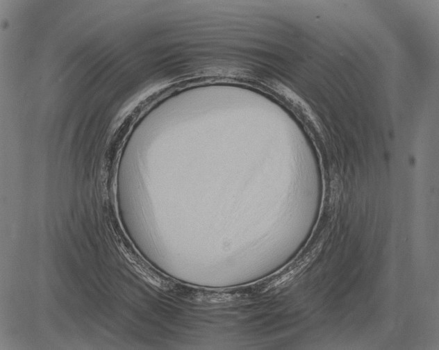 X0000083661019200703121806