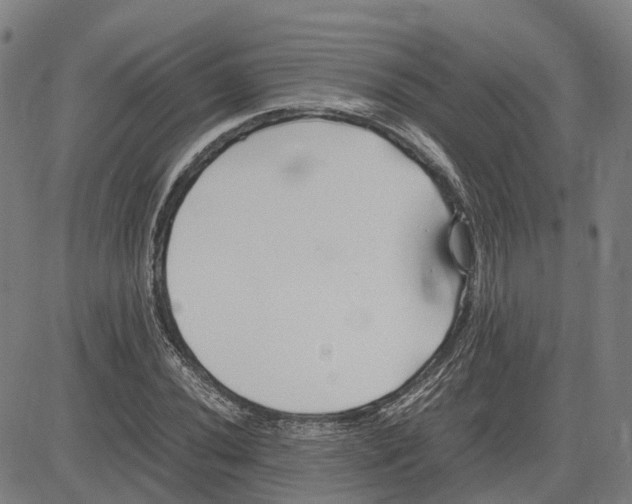 X0000083661020200703121806