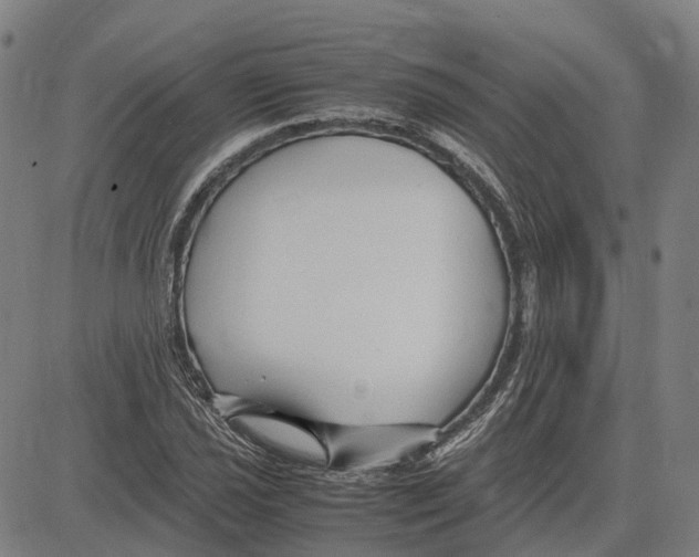 X0000083661021200703121806