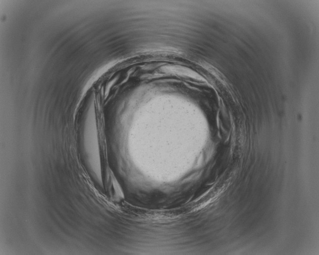 X0000083661022200703121806