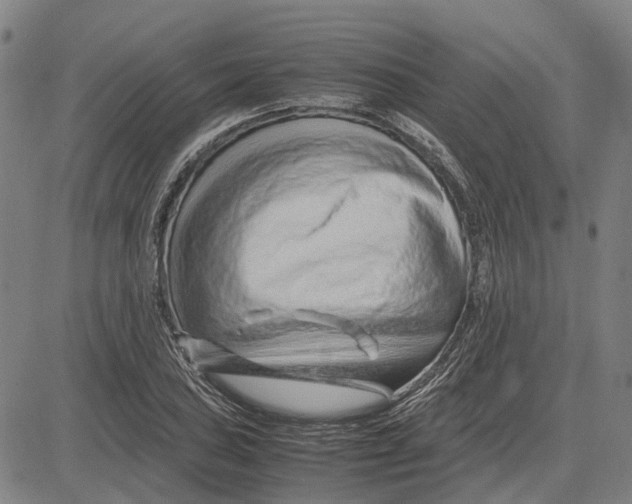 X0000083661027200703121806