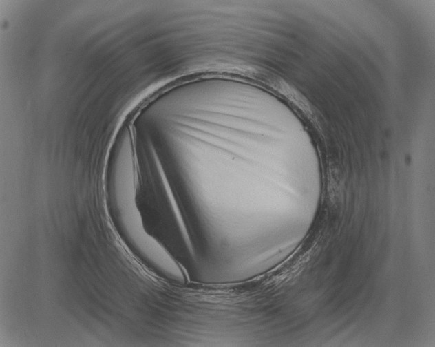 X0000083661028200703121806