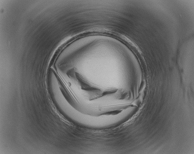 X0000083661029200703121806