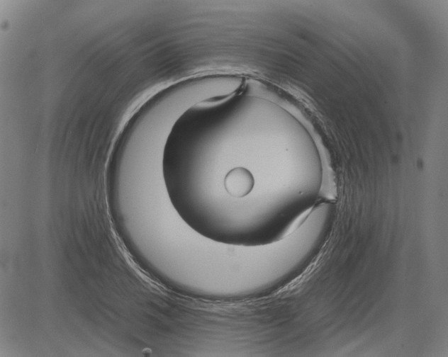 X0000083661030200703121806