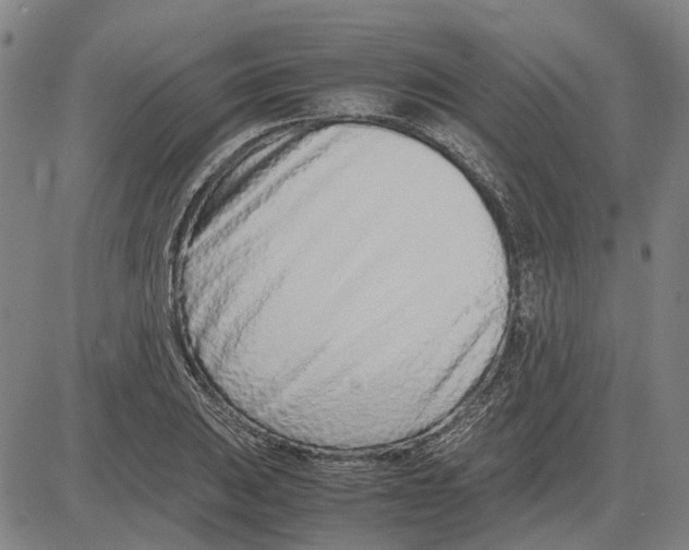 X0000083661031200703121806