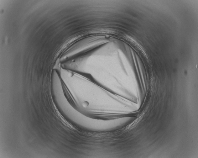 X0000083661033200703121806