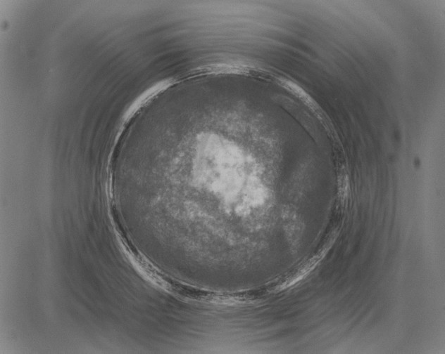 X0000083661034200703121806