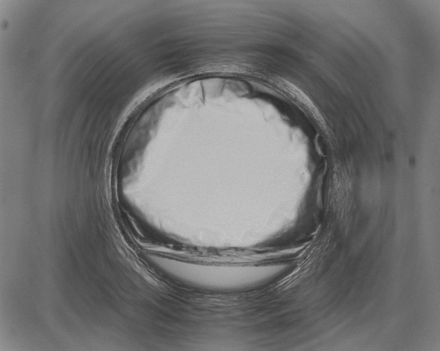 X0000083661035200703121806