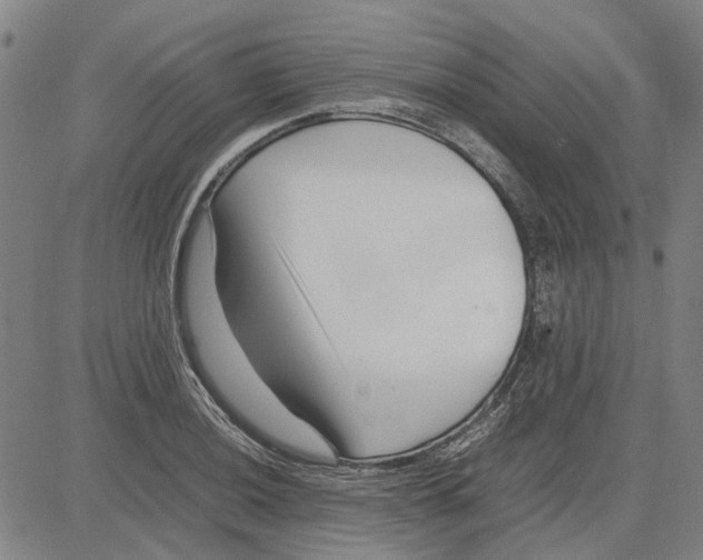 X0000083661036200703121806