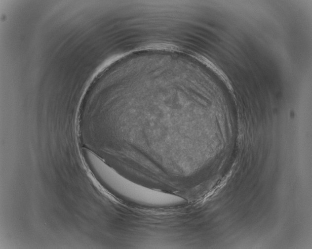 X0000083661037200703121806