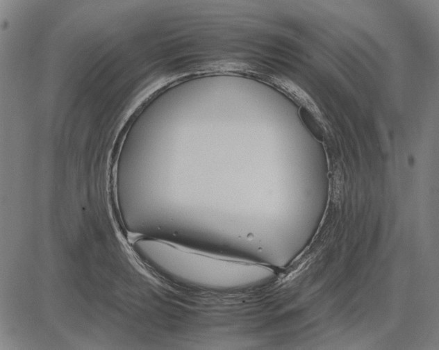 X0000083661039200703121806