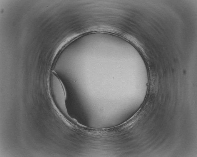 X0000083661040200703121806