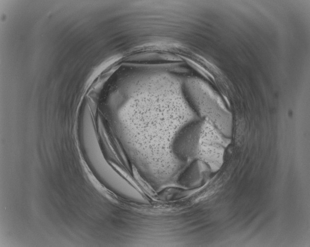 X0000083661042200703121806