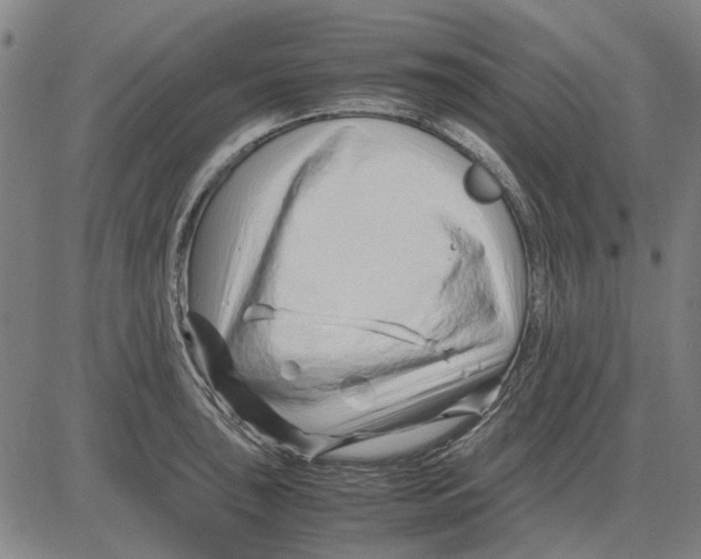 X0000083661043200703121806