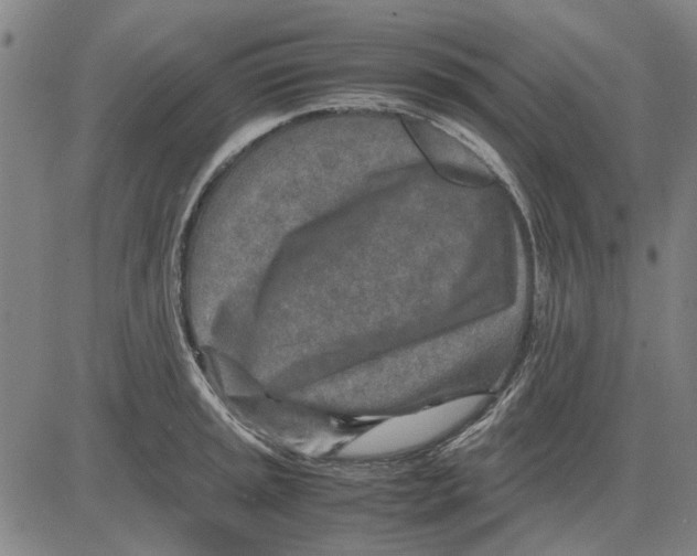 X0000083661045200703121806