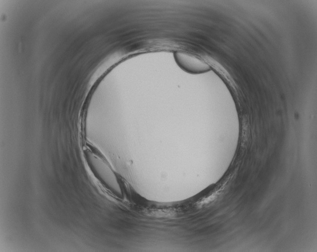 X0000083661047200703121806