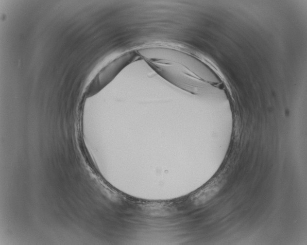 X0000083661048200703121806