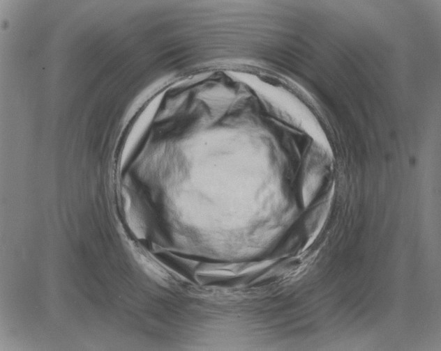 X0000083661050200703121806