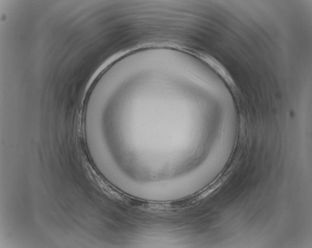 X0000083661052200703121806