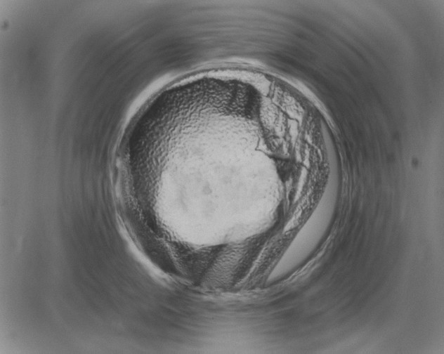 X0000083661054200703121806