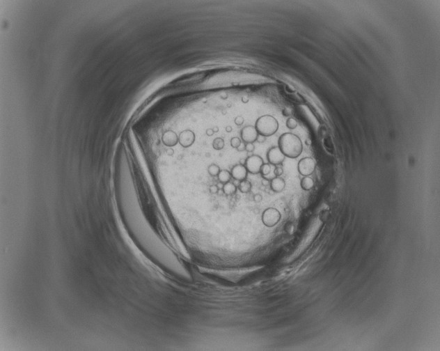 X0000083661055200703121806