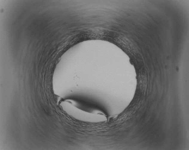 X0000083661057200703121806