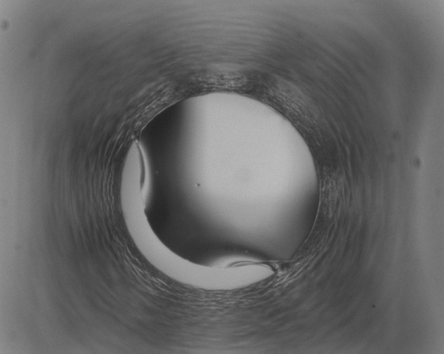 X0000083661058200703121806