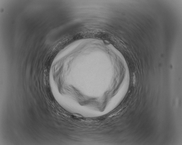 X0000083661059200703121806