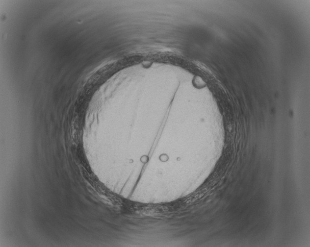 X0000083661063200703121806