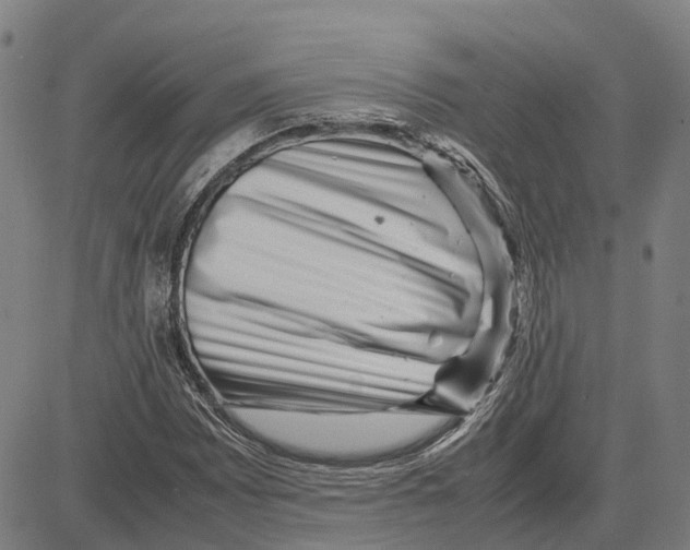 X0000083661065200703121806