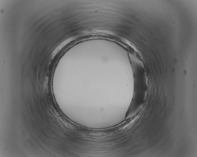 X0000083661066200703121806