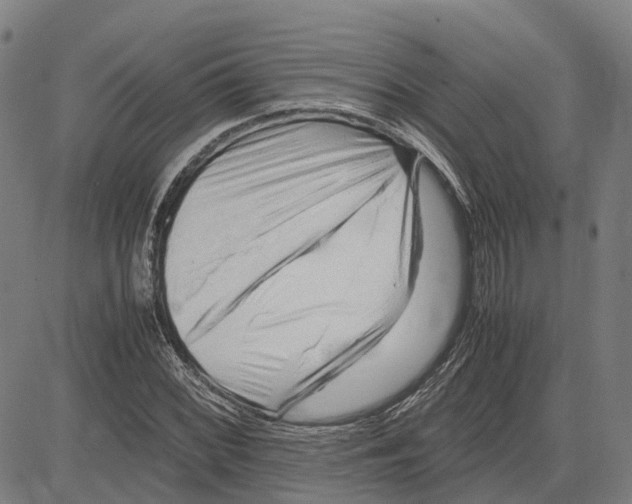 X0000083661068200703121805