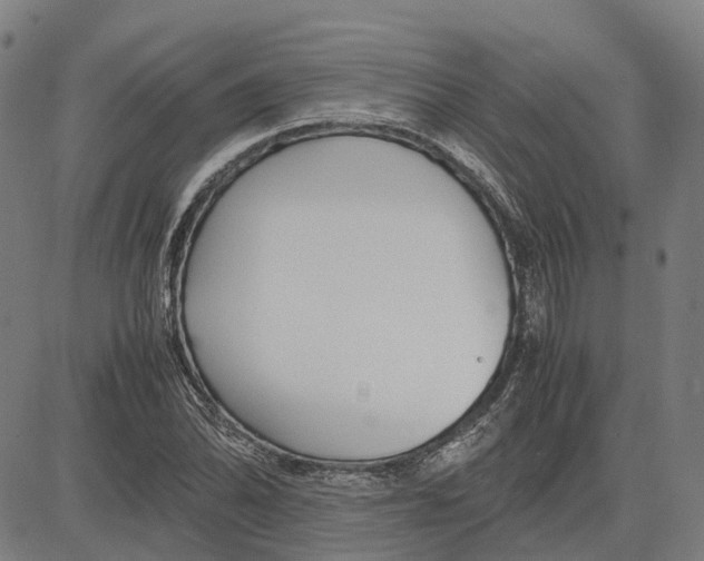 X0000083661070200703121805